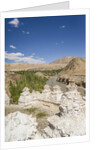 Alchi, stupas along Indus River by Anonymous