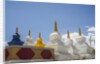 Phyang Monastery by Anonymous