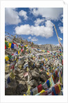 Khardung-La Pass is the highest motorable road in the world with 18380 feet, 5602,2 meters by Anonymous