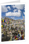 Khardung-La Pass is the highest motorable road in the world with 18380 feet, 5602,2 meters by Anonymous