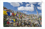 Khardung-La Pass is the highest motorable road in the world with 18380 feet, 5602,2 meters by Anonymous