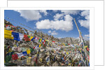 Khardung-La Pass is the highest motorable road in the world with 18380 feet, 5602,2 meters by Anonymous