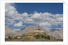 Diskit Monastery, the giant Buddha by Anonymous