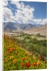 View from Likir Monastery by Anonymous