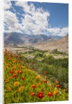 View from Likir Monastery by Anonymous