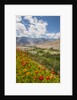 View from Likir Monastery by Anonymous