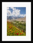 View from Likir Monastery by Anonymous