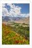 View from Likir Monastery by Anonymous