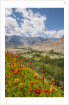 View from Likir Monastery by Anonymous