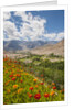 View from Likir Monastery by Anonymous