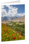 View from Likir Monastery by Anonymous