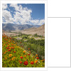 View from Likir Monastery by Anonymous