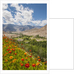 View from Likir Monastery by Anonymous