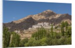 Likir Monastery by Anonymous
