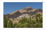 Likir Monastery by Anonymous