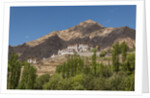 Likir Monastery by Anonymous