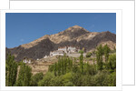 Likir Monastery by Anonymous