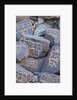 Prayer stones at Hundar Monastery by Anonymous
