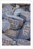 Prayer stones at Hundar Monastery by Anonymous