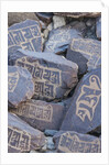 Prayer stones at Hundar Monastery by Anonymous