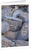 Prayer stones at Hundar Monastery by Anonymous
