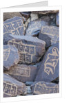 Prayer stones at Hundar Monastery by Anonymous