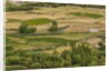 Chemde Monastery, near Karu, corn field around monastery by Anonymous