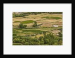 Chemde Monastery, near Karu, corn field around monastery by Anonymous