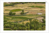 Chemde Monastery, near Karu, corn field around monastery by Anonymous