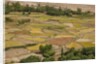 Chemde Monastery, near Karu, corn field around monastery by Anonymous