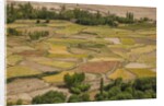 Chemde Monastery, near Karu, corn field around monastery by Anonymous