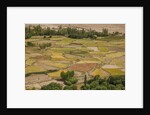 Chemde Monastery, near Karu, corn field around monastery by Anonymous