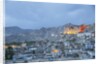 View of the town and the Royal Palace by Anonymous