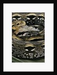 Acrantophis madagascariensis (Madagascan boa) by Anonymous