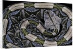 Bitis gabonica (Gaboon viper) by Anonymous