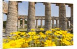 Segesta, the temple by Anonymous
