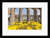 Segesta, the temple by Anonymous