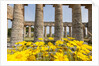 Segesta, the temple by Anonymous