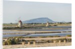 Ettore e Infersa Salt works area by Anonymous