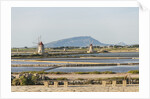 Ettore e Infersa Salt works area by Anonymous