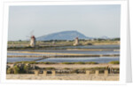 Ettore e Infersa Salt works area by Anonymous