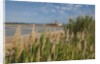 Ettore e Infersa Salt works area by Anonymous