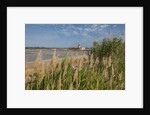 Ettore e Infersa Salt works area by Anonymous