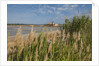 Ettore e Infersa Salt works area by Anonymous