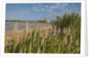 Ettore e Infersa Salt works area by Anonymous