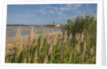 Ettore e Infersa Salt works area by Anonymous
