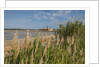 Ettore e Infersa Salt works area by Anonymous