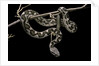 Daboia lebetina mauritanica (moorish viper) by Anonymous
