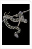 Daboia lebetina mauritanica (moorish viper) by Anonymous