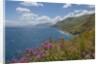 Lo Zingaro Natural Reserve by Anonymous